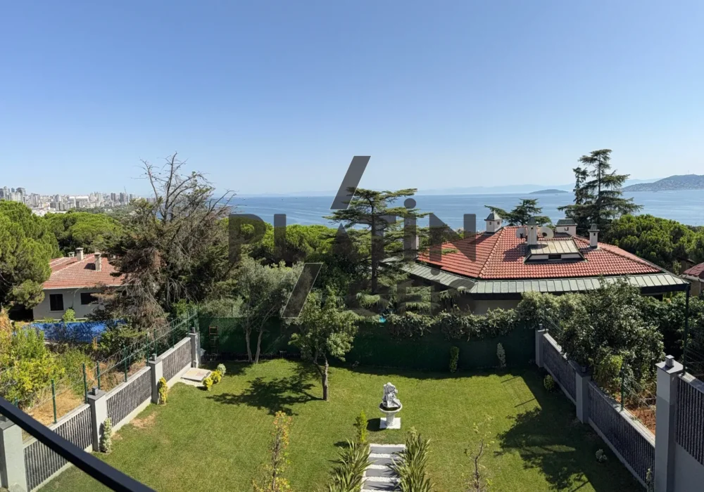 dragos-villa-projesi-3